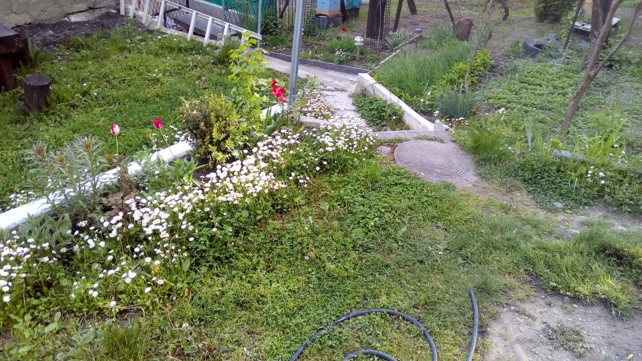 Guest House Khatuna Borjomi Bagian luar foto